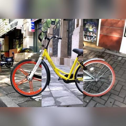 DST基金最新动态解析，市场走势深度探讨与未来展望