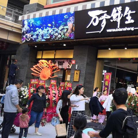 模型运动培训公司排行榜深度解析，行业格局一目了然