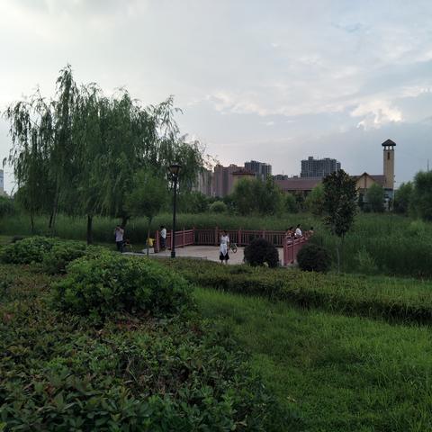 新蔡河垂钓纪实，生态美景与垂钓乐趣的完美交融