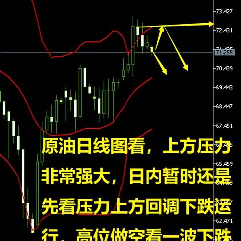 今日首饰行情最新走势图，金银珠宝市场实时动态解析