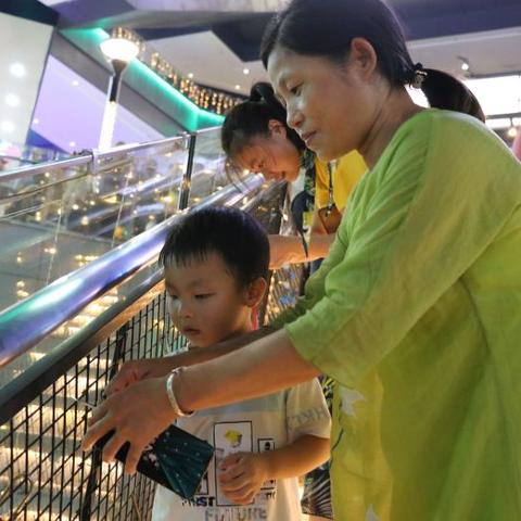 石狮免费游攻略大揭秘，探索狮城神秘之旅