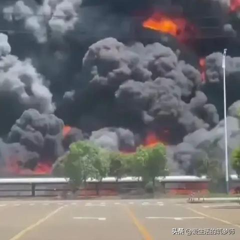 拾金不昧