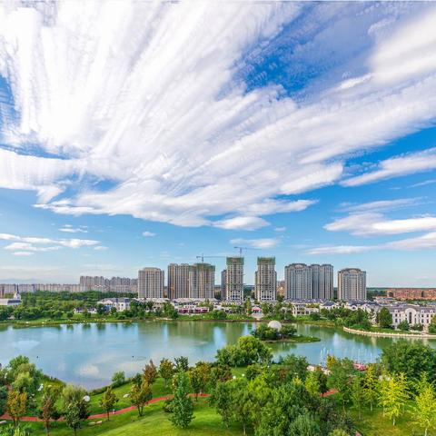 廊坊企业发展全景解析，评估排名揭示潜力与实力