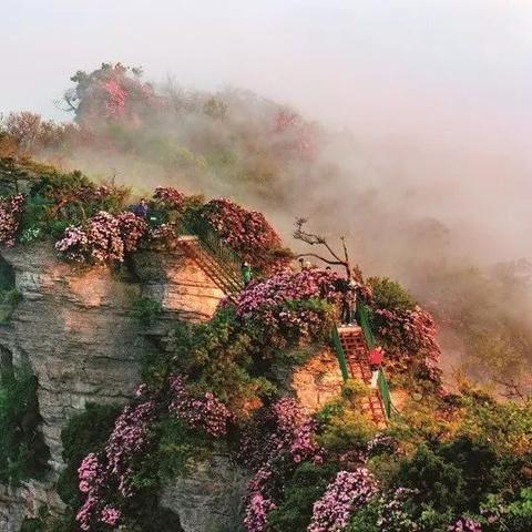 巴中摄影之旅，捕捉美景，珍藏永恒瞬间