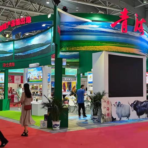 合肥至西藏神秘之旅攻略图，探索高原之旅的绝佳指南