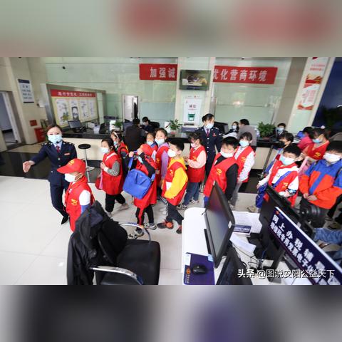 安阳税收公司排名揭晓，引领行业发展的领军者
