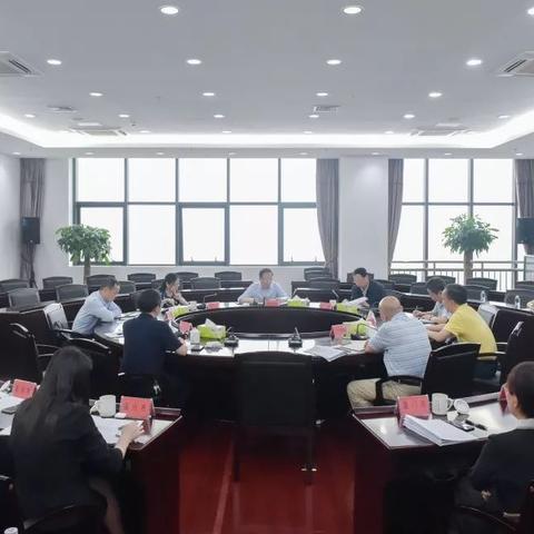 法律聚焦，犬类权益与责任的深度解读，狗狗今日说法更新