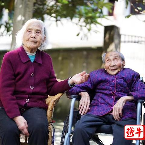 绍兴麦片品牌排行榜大解密，哪家公司独占鳌头？
