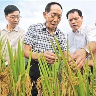 广西搭建公司排名揭秘，行业佼佼者一网打尽