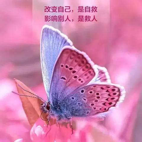 电影女性励志语录，前行之力，激发无限潜能