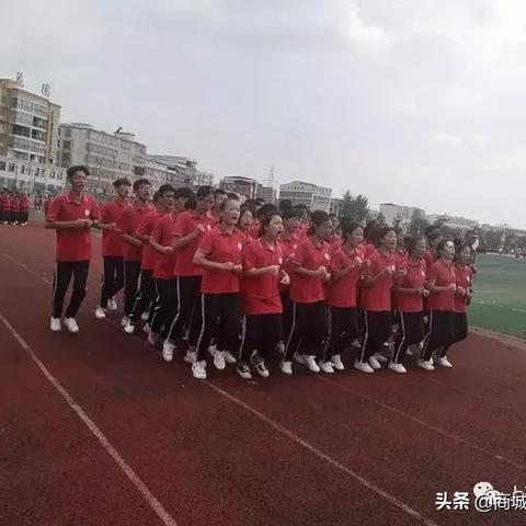 蒋老师全球教育排名揭晓，探索其在教育领域的卓越成就