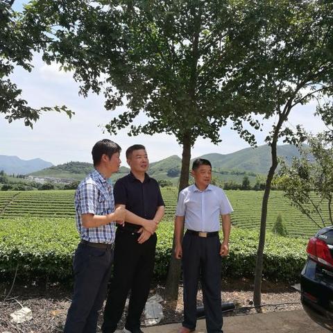 「贵州至黄山全景旅游攻略，必游景点、路线规划全解析」