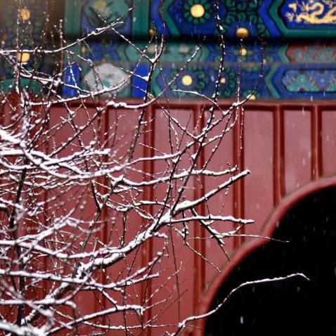 北京暴雪来袭，最新消息、城市应对与影响分析