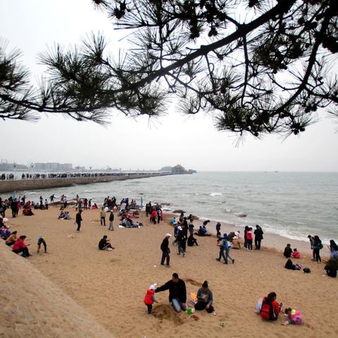 栈桥青岛旅游攻略，魅力海滨城市的必游景点探访