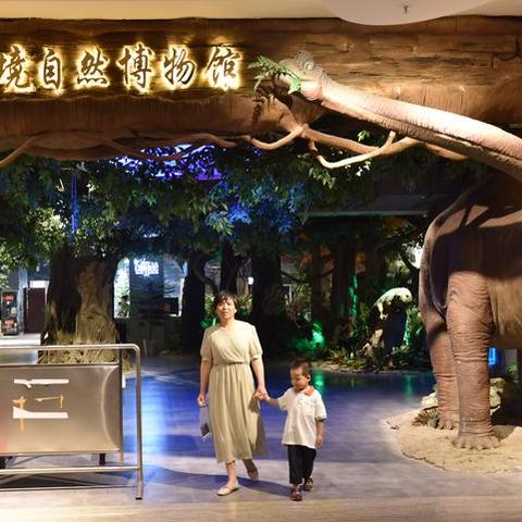 金华家庭旅游攻略，最新探索与发现之旅
