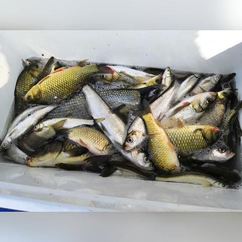 炎炎夏日气温飙升，最新动态与消息全解析