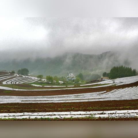 临江雪村探秘，冰雪童话世界的绝美旅游攻略