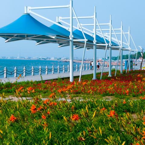 营口海岛游全新攻略，探索未知海域，畅游绝美海岛路线