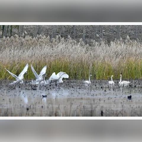 营口最新天气查询报告，实时掌握天气动态，让生活更加多彩