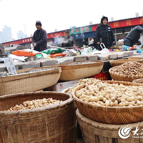 新泰市青龙路最新热点新闻速递