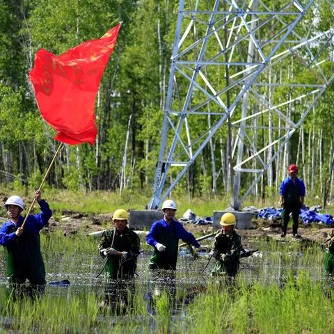 大庆电能案件公告公示引发社会关注与深度思考