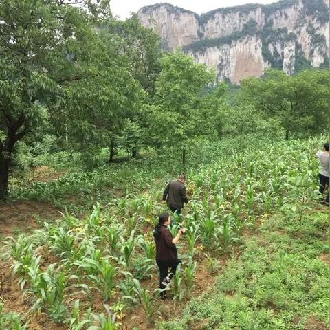 女生青春励志语录，勇敢追梦，不负韶华箴言