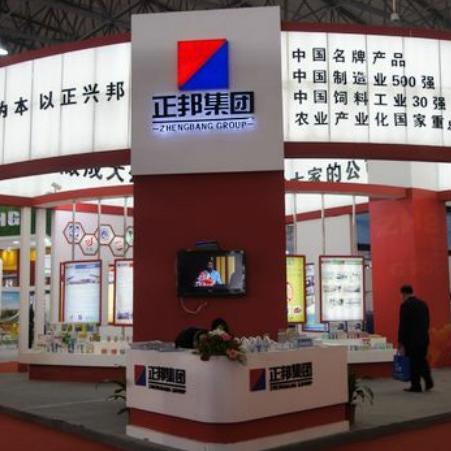 缅甸正邦新闻聚焦，最新动态与未来发展趋势探索