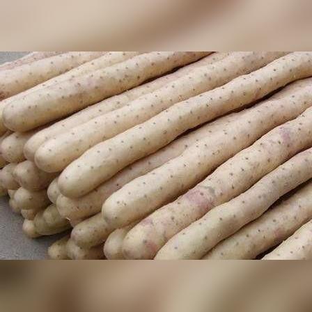麻山药最新价格行情及市场走势分析，多重因素揭秘其趋势