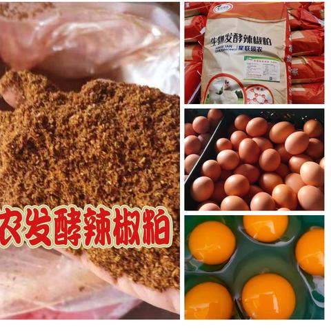嘉冠豆粕最新行情走势分析，市场趋势与预测报告