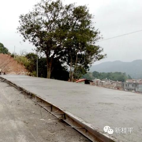 廉江最新新闻头条，城市发展与民生改善同步前行进展报道