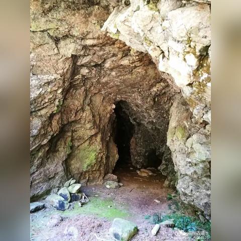 温州青鸟旅游攻略，探秘仙境之地的神秘魅力