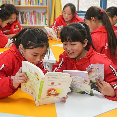 贵州环保企业排名大揭秘，探寻贵州环保领域的领军者