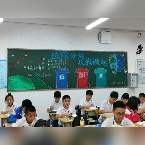 垃圾分类最新动态，推动绿色生态，共建美好家园