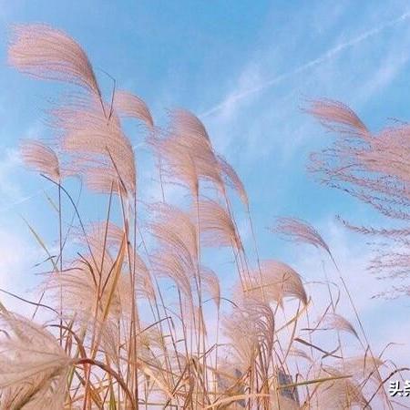西安今日热点新闻速递，头条要闻一网打尽！