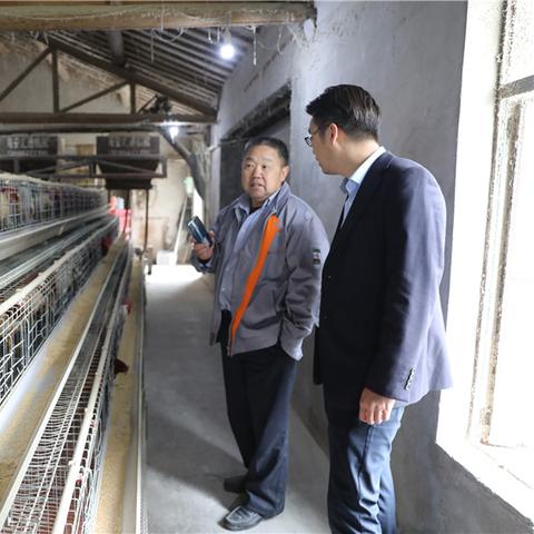 姜堰装修公司待遇排名揭晓，行业深度分析与洞察报告