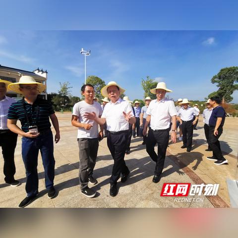 耒阳荷塘美景探索，城市新貌与生活动态新闻头条