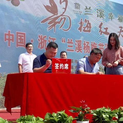 杨梅产业最新动态及前景探索，杨梅头条新闻独家报道