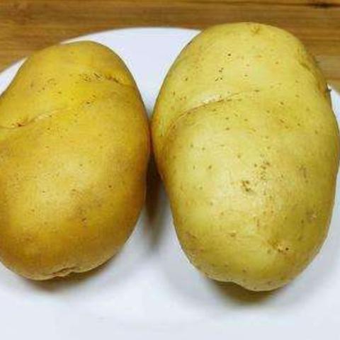 揭秘甘肃土豆价格走势，百度助你洞悉行情动态