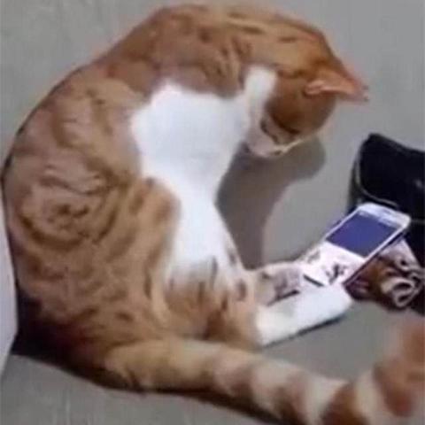 岁月见证智慧，老奶奶励志语录视频