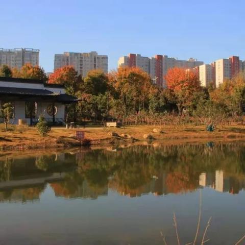 平顶山今日动态更新，城市新貌与生活瞬间