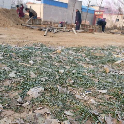 滑县职业教育放假通知文件深度解读