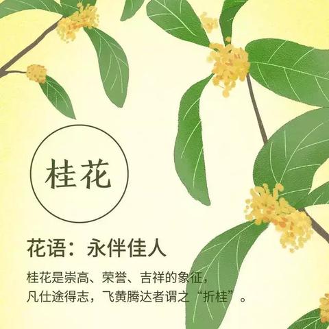 励志力量源泉，卑微语录中的生活智慧