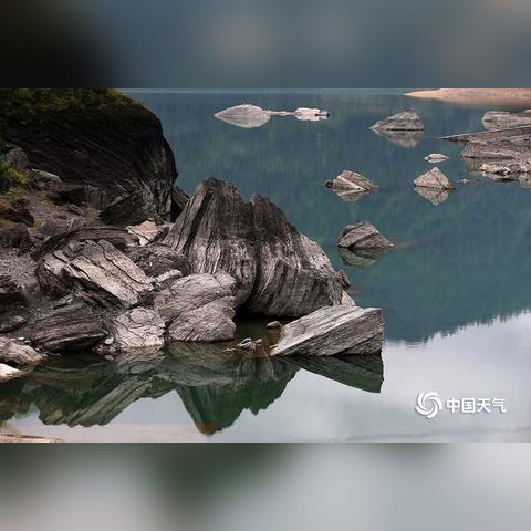 腾龙换鸟
