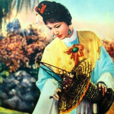 海燕摄影公司排名揭秘，探寻摄影行业的领军者