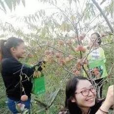 滁州农场公司排名揭晓，行业领军者一览无余！