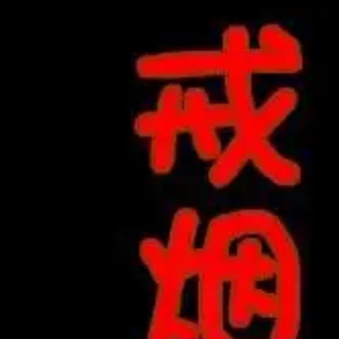 励志情感语录与美图分享，触动心灵的文字与视觉盛宴