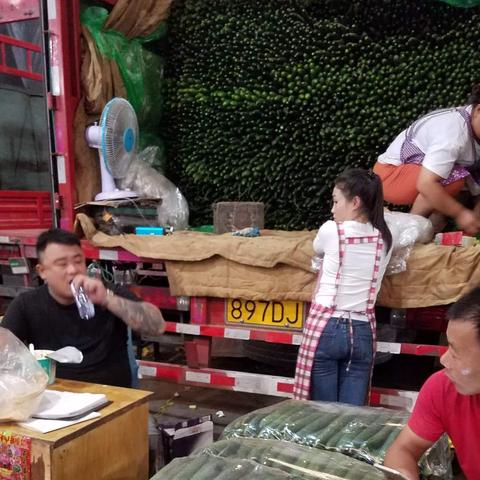 全球花菜产地排名大揭秘，哪些地区盛产花菜？