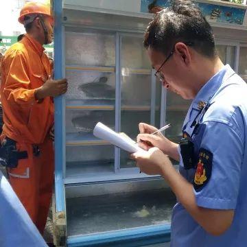 奉贤公司法律顾问排名榜，解读法律服务行业的领军者