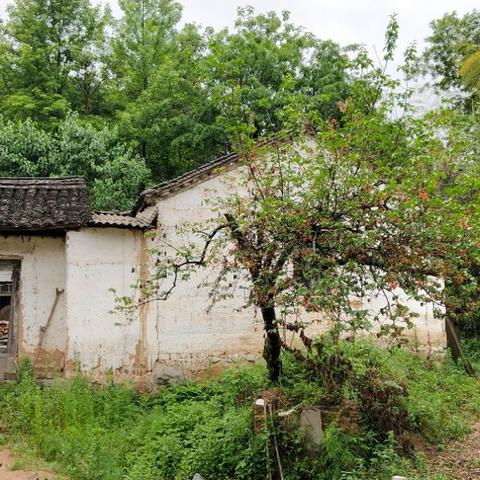 镇江上湾水库游玩攻略，最新探索与独特体验