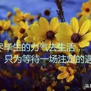 励志燃烧激情，成就非凡人生——慷慨激昂语录助你前行！